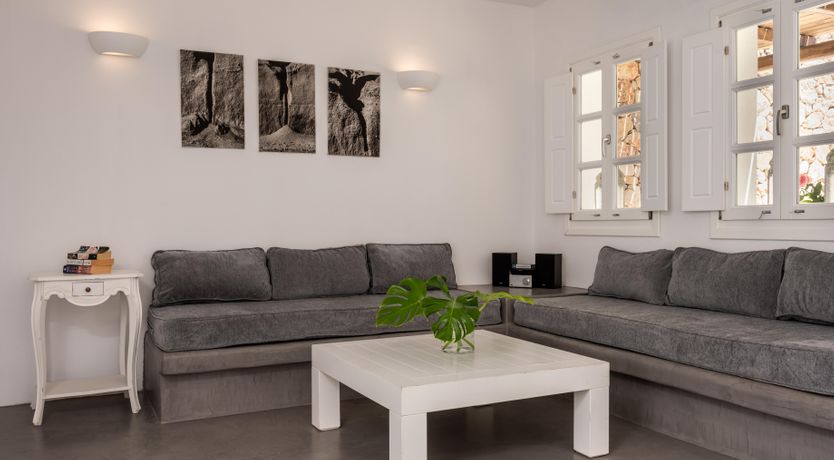 Photo of Monstera Leaf