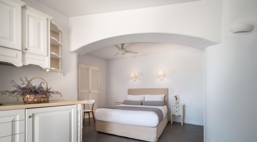 Photo of Monstera Leaf