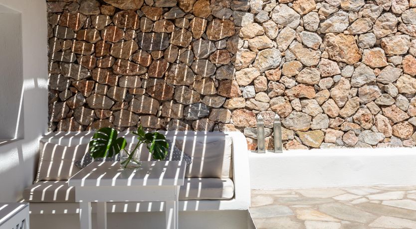 Photo of Monstera Leaf