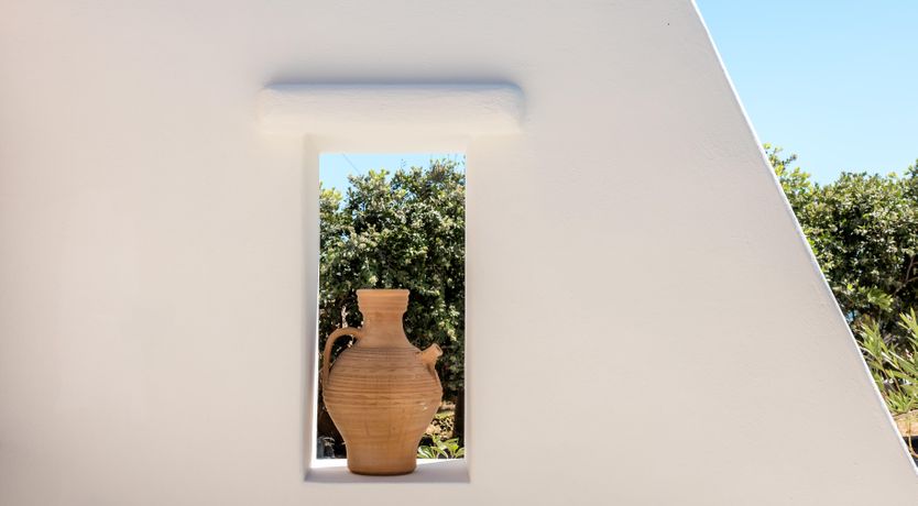 Photo of Monstera Leaf