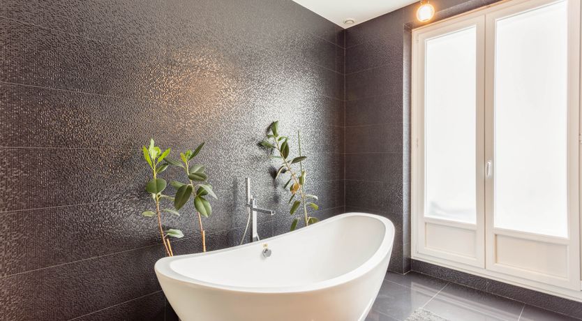 Photo of Sunshine in Soft Focus