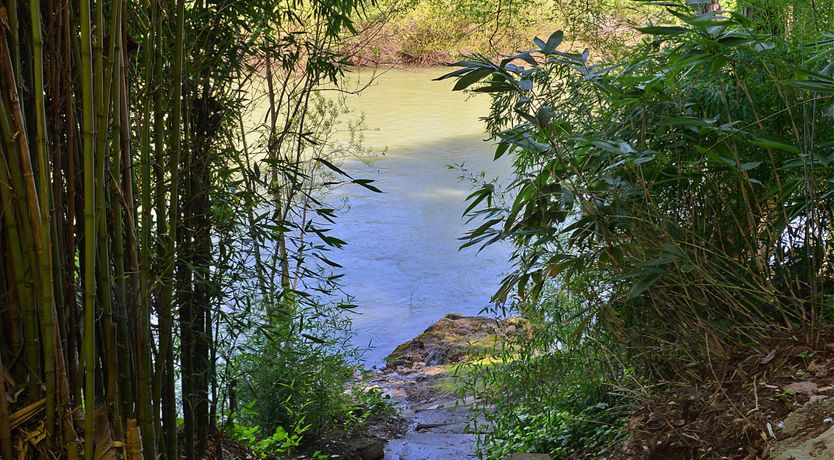 Photo of Dreams of a River