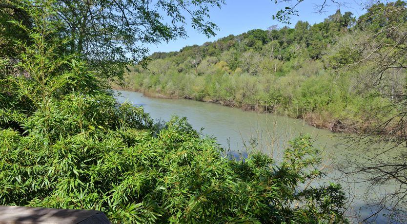 Photo of Dreams of a River