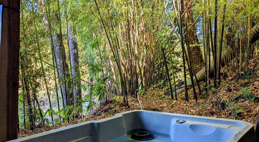 Photo of Dreams of a River