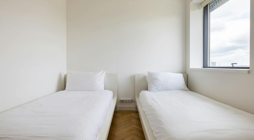 Photo of Paddington Perfection