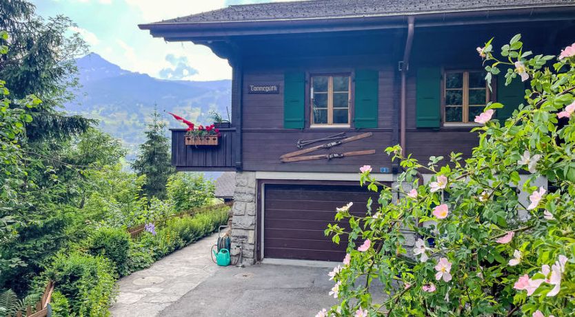 Photo of Chalet Tannengüetli