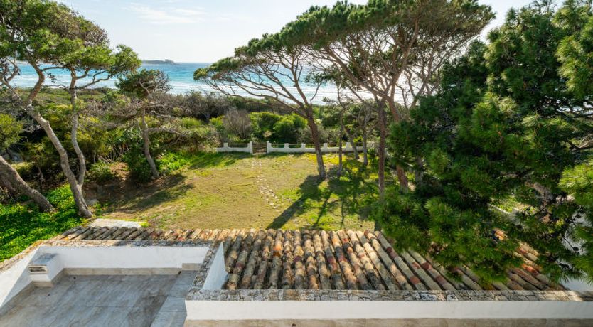 Photo of La Conchiglia