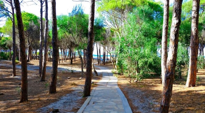 Photo of Selema Camping