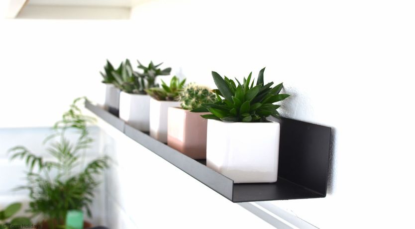 Photo of D45 Medina, Riviere Towans