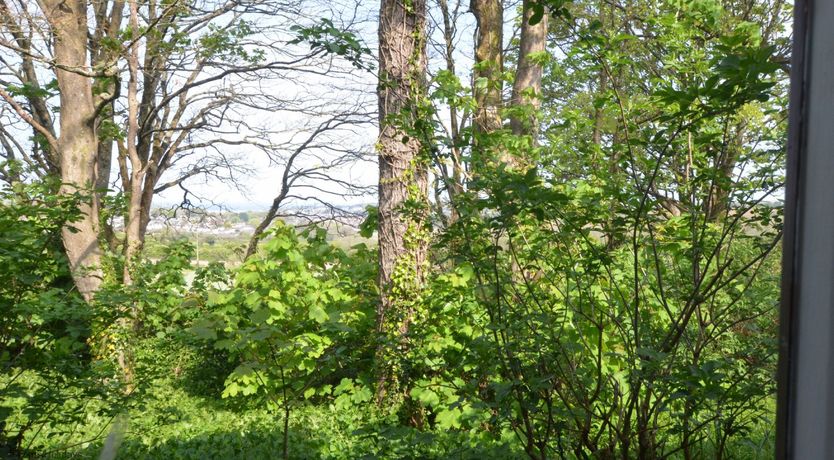 Photo of 65 Strawberry Hill, Tolroy Manor