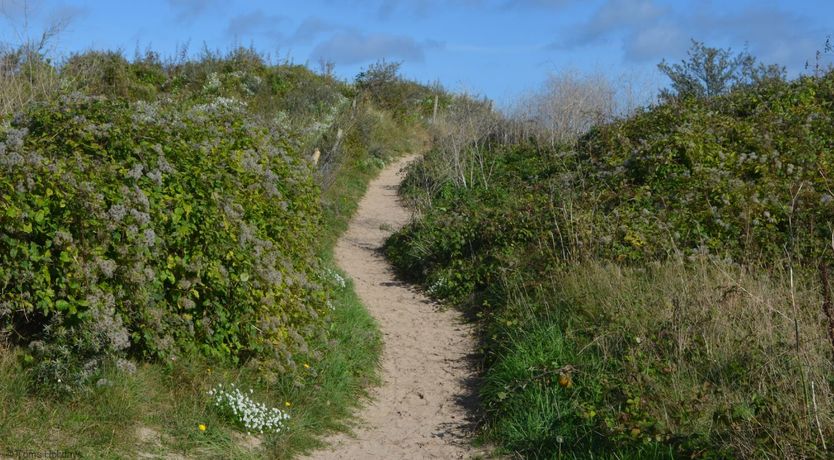 Photo of C15 Seamore, Riviere Towans