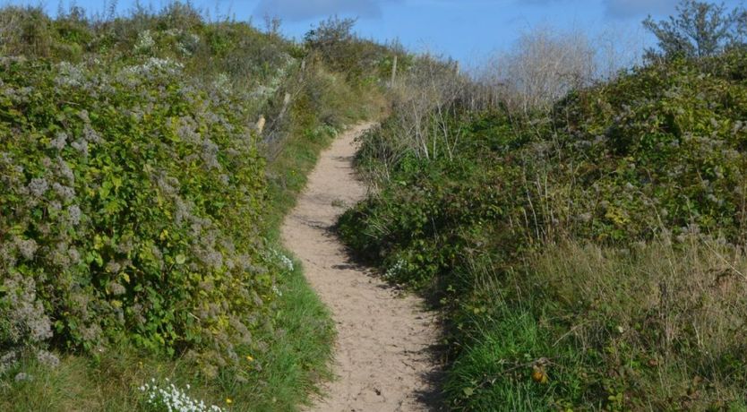 Photo of C15 Seamore, Riviere Towans