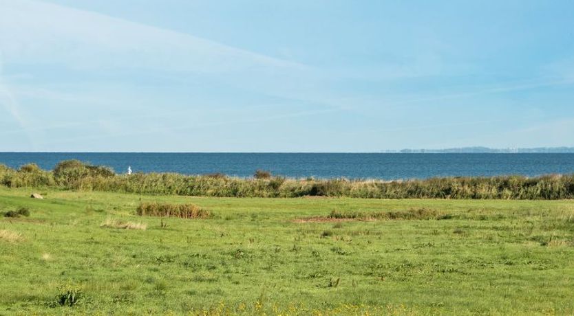 Photo of "Alexis" - 250m from the sea