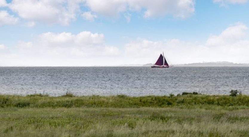 Photo of "Alexis" - 250m from the sea