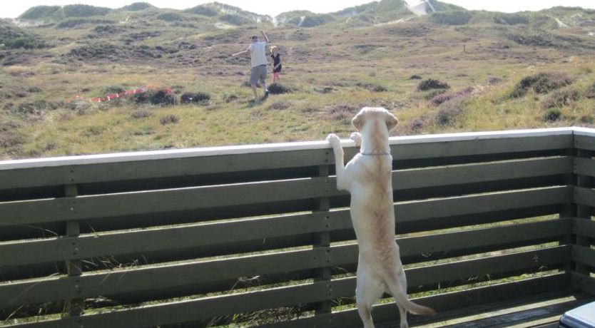 Photo of "Lilja" - 1.5km from the sea