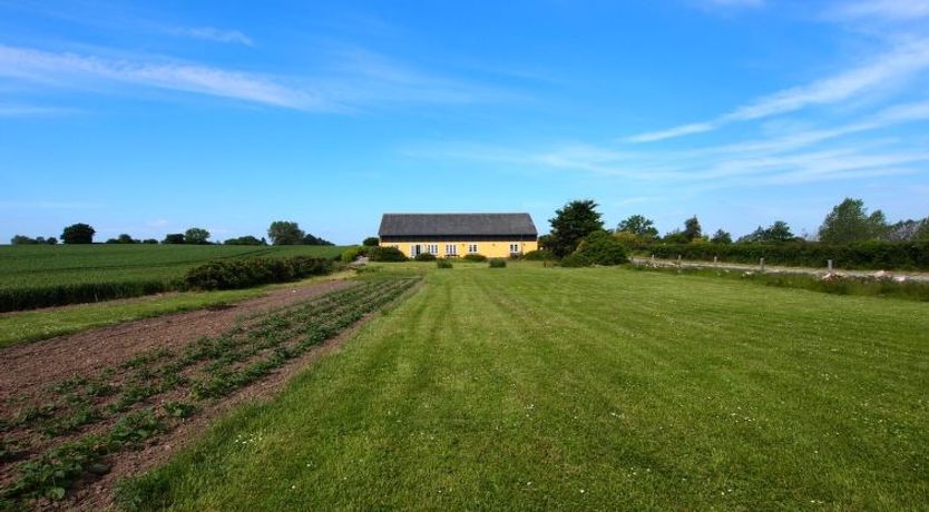 Photo of "Joran" - 120m from the sea