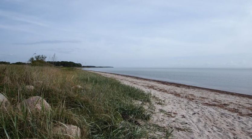 Photo of "Joran" - 120m from the sea