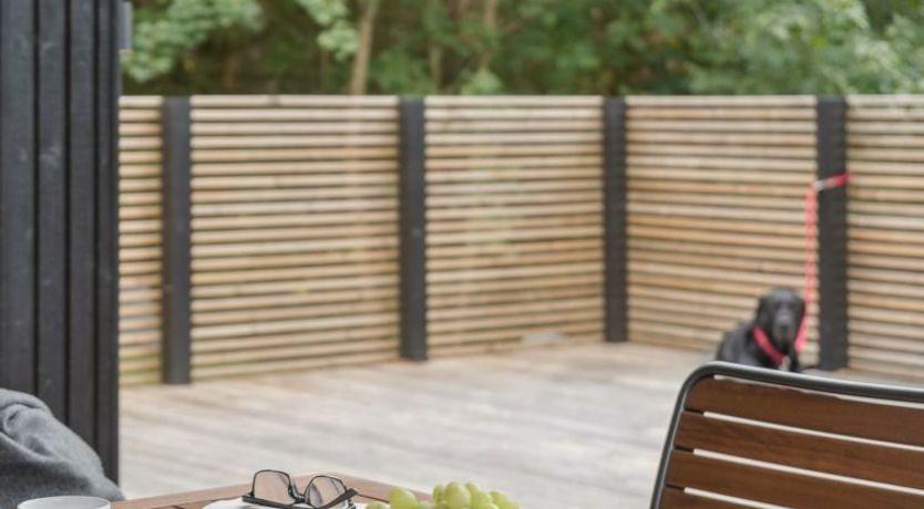 Photo of "Aggi" - 850m from the sea