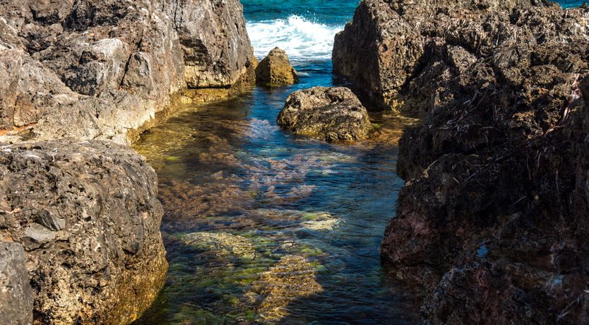 Photo of Lighthouse Island