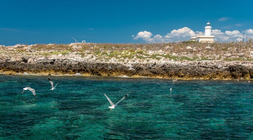 Photo of Lighthouse Island