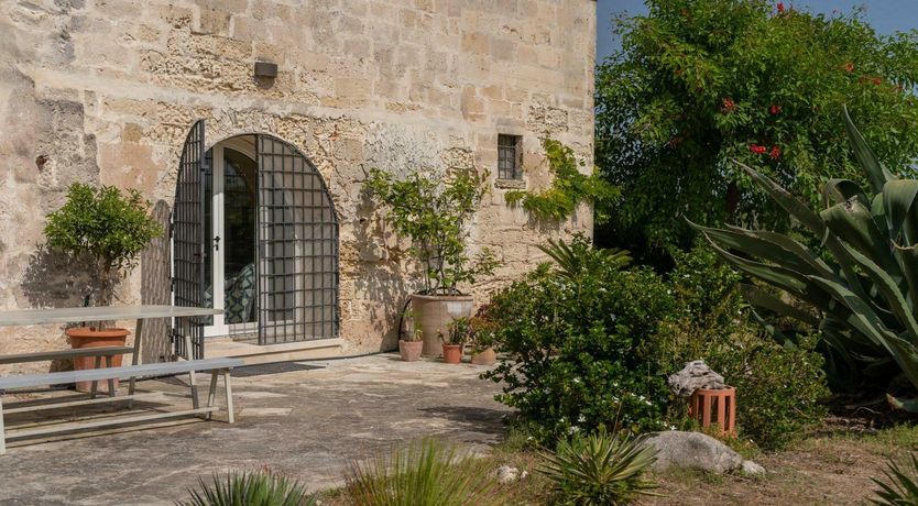 Photo of The Wise Soul