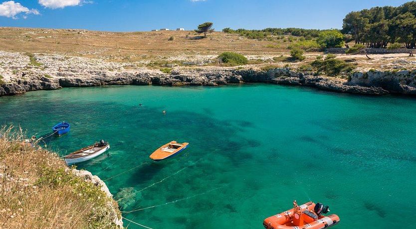 Photo of The Wise Soul