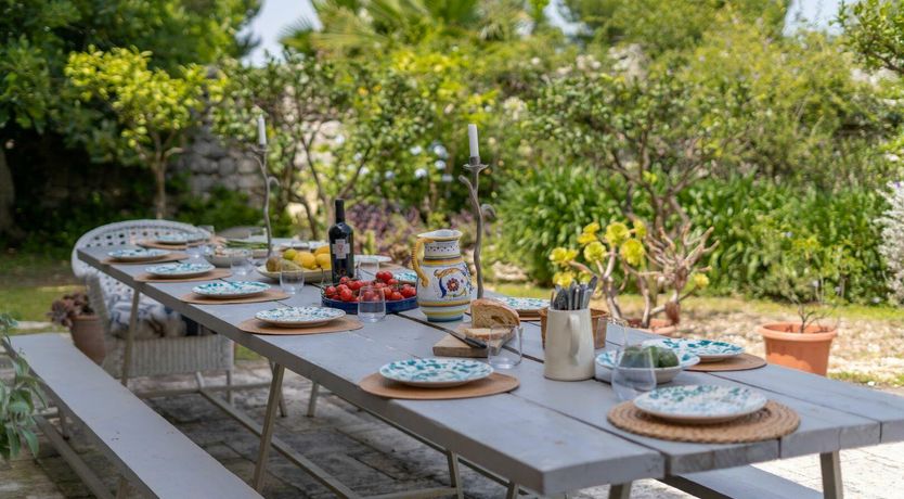 Photo of The Wise Soul