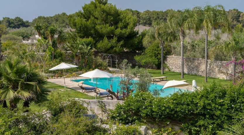 Photo of The Wise Soul