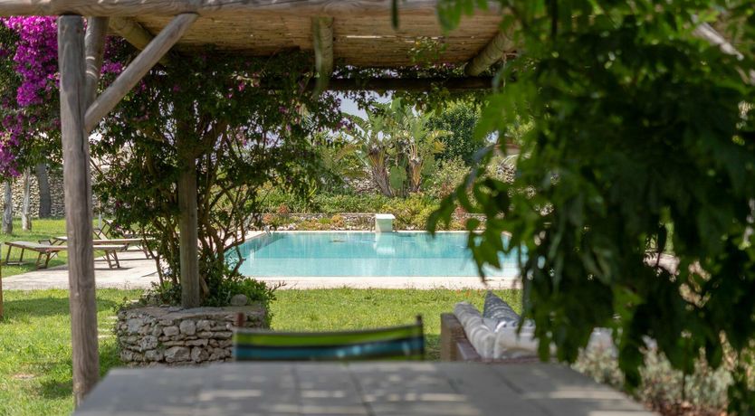 Photo of The Wise Soul