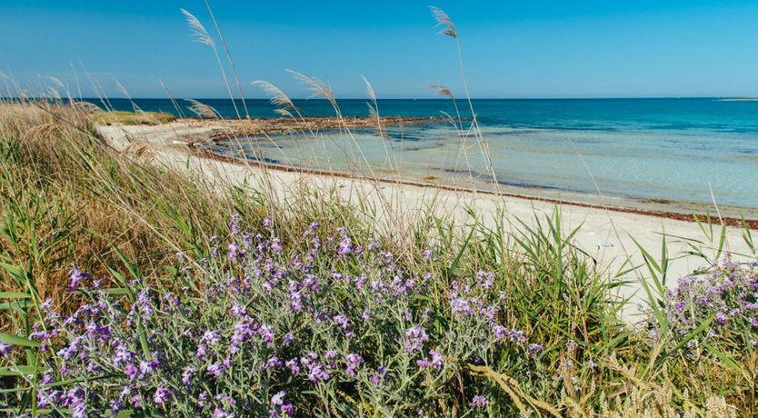 Photo of Sea & Earth