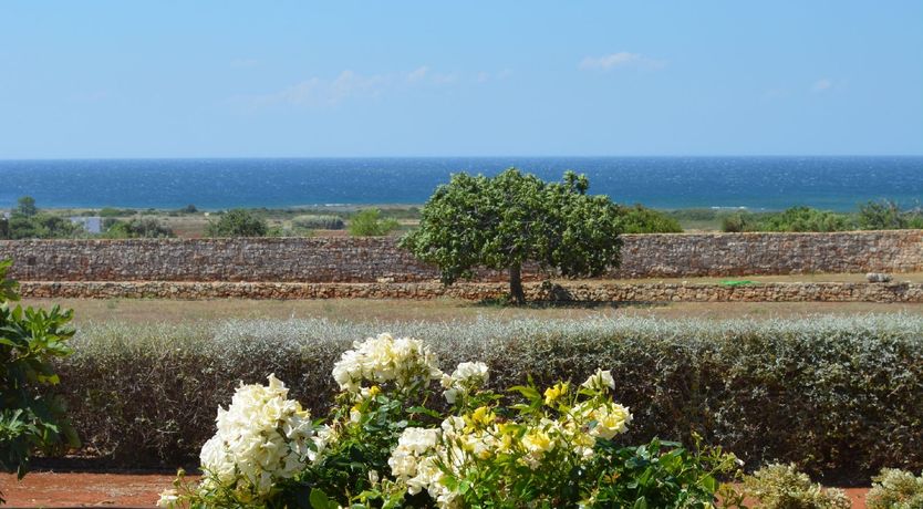 Photo of Sea & Earth