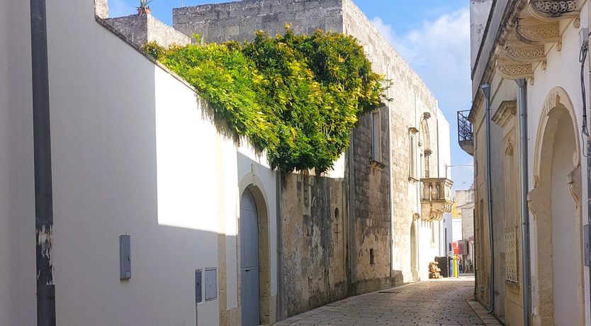 Photo of The Sun's Halo