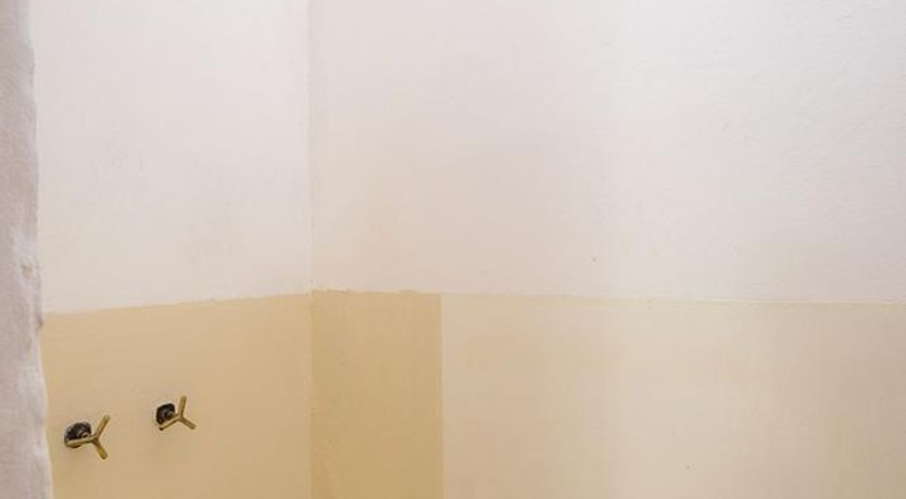 Photo of The Sun's Halo