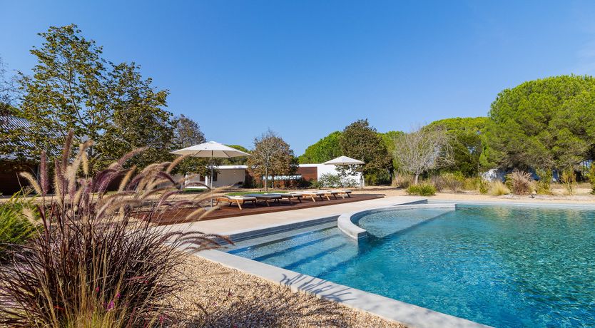 Photo of In Nature's Embrace