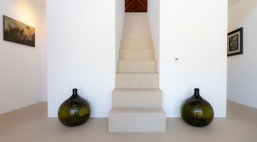 Photo of In Nature's Embrace