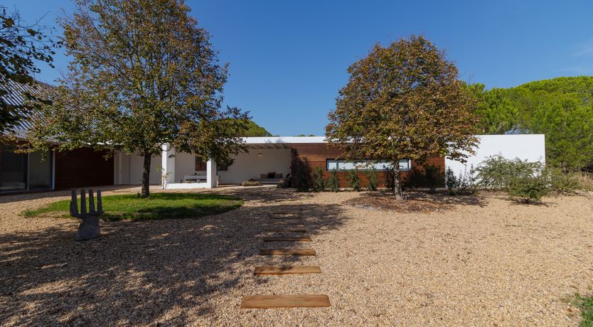 Photo of In Nature's Embrace