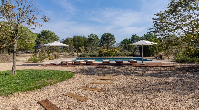 Photo of In Nature's Embrace