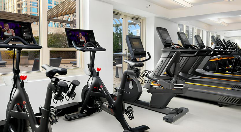 Photo of Culture Haven