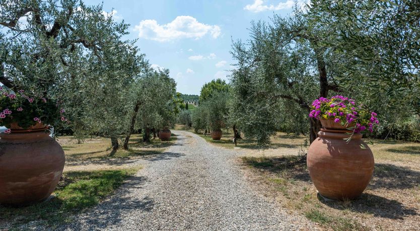 Photo of Tuscan Golden Hills