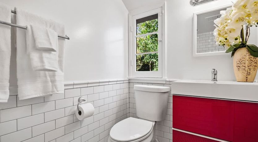 Photo of In the Shadows of Palms