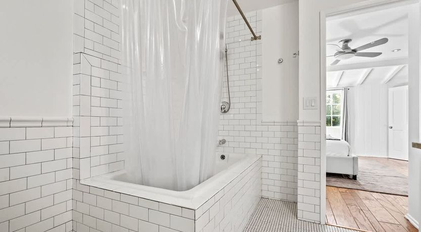 Photo of In the Shadows of Palms