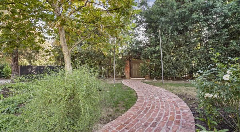 Photo of In the Shadows of Palms