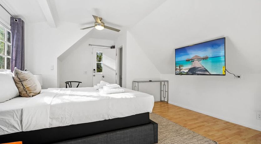 Photo of In the Shadows of Palms