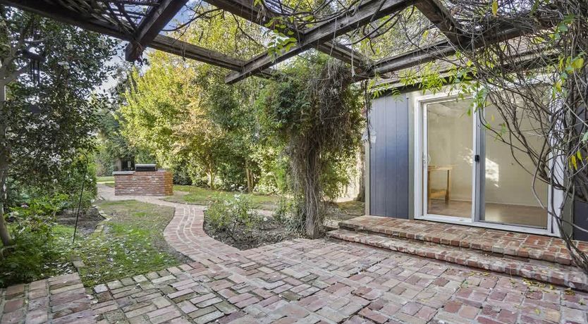 Photo of In the Shadows of Palms