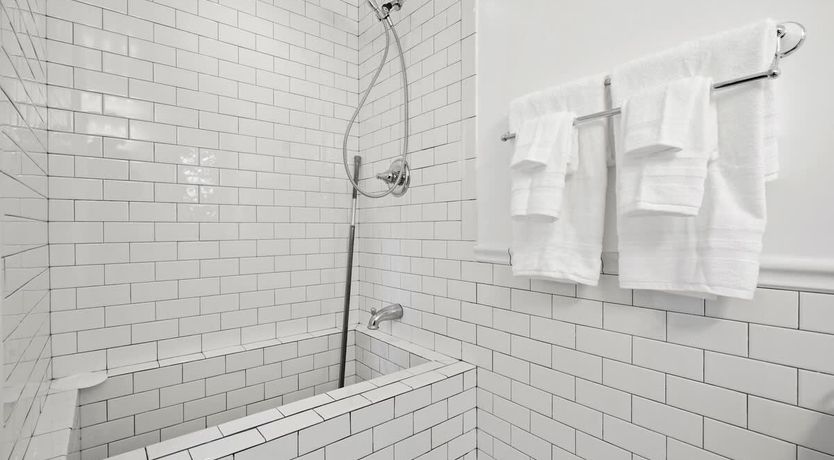 Photo of In the Shadows of Palms