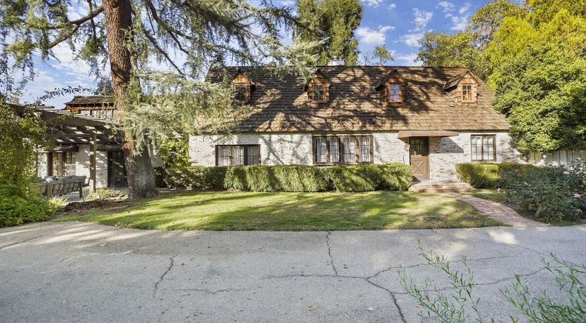 Photo of In the Shadows of Palms