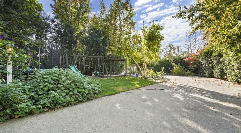 Photo of In the Shadows of Palms