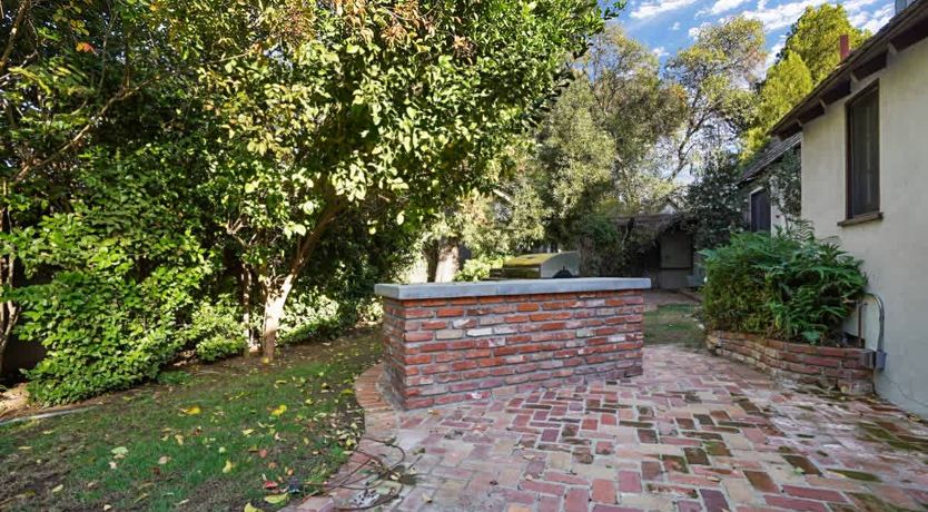 Photo of In the Shadows of Palms