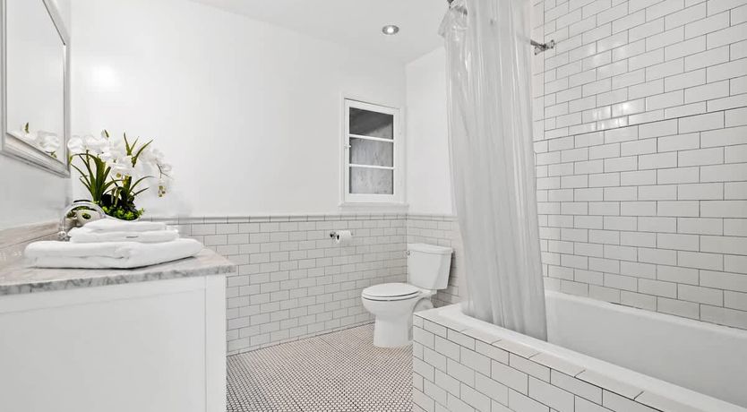 Photo of In the Shadows of Palms