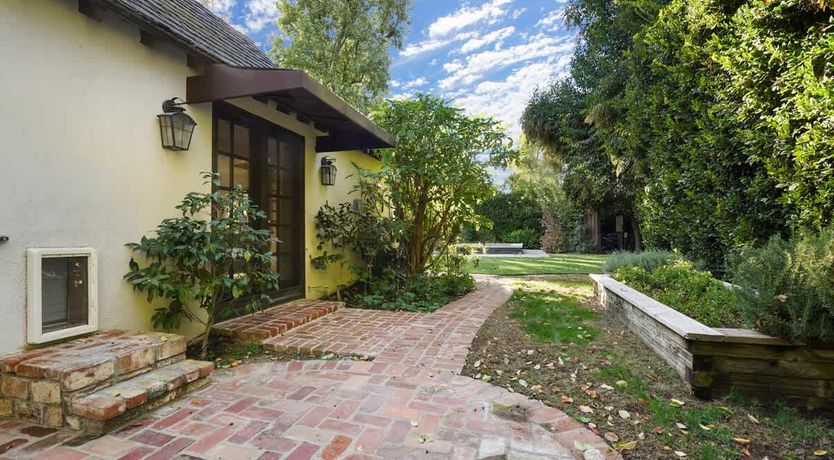 Photo of In the Shadows of Palms